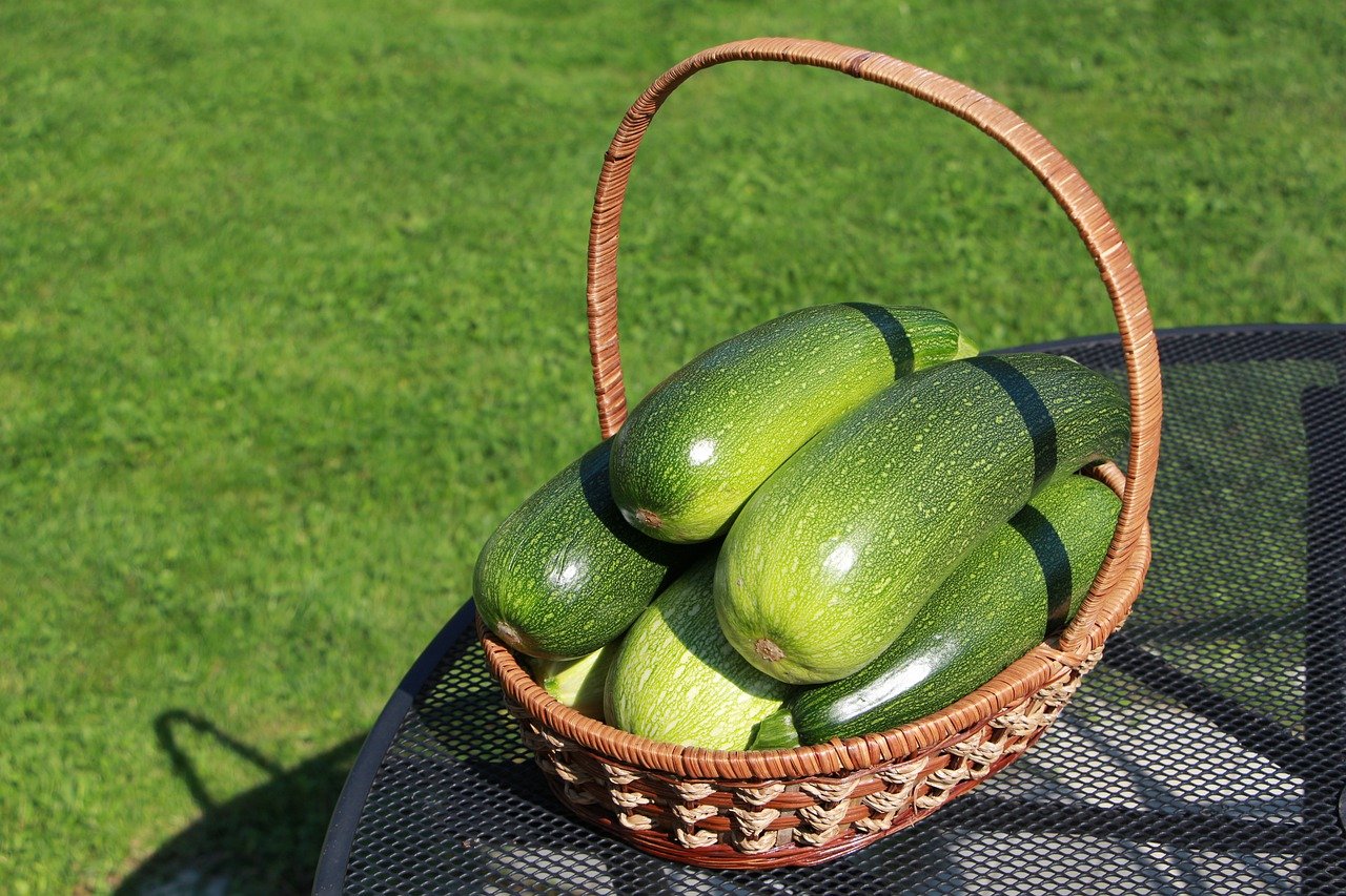 Ist Zucchini gesund?