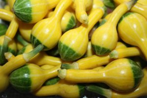 Zucchini besondere Formen