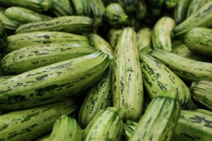 Zucchini weiß hellgrün