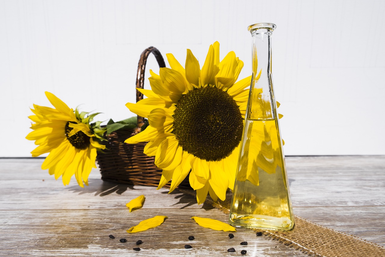 Ist Sonnenblumenöl gesund? Infos im Überblick