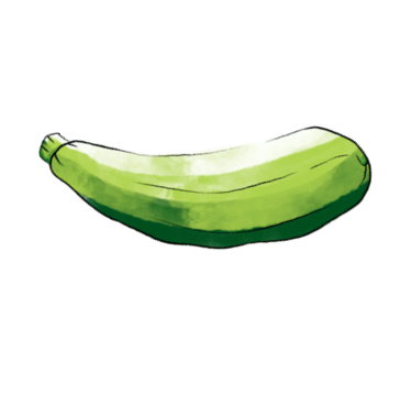 Zucchini